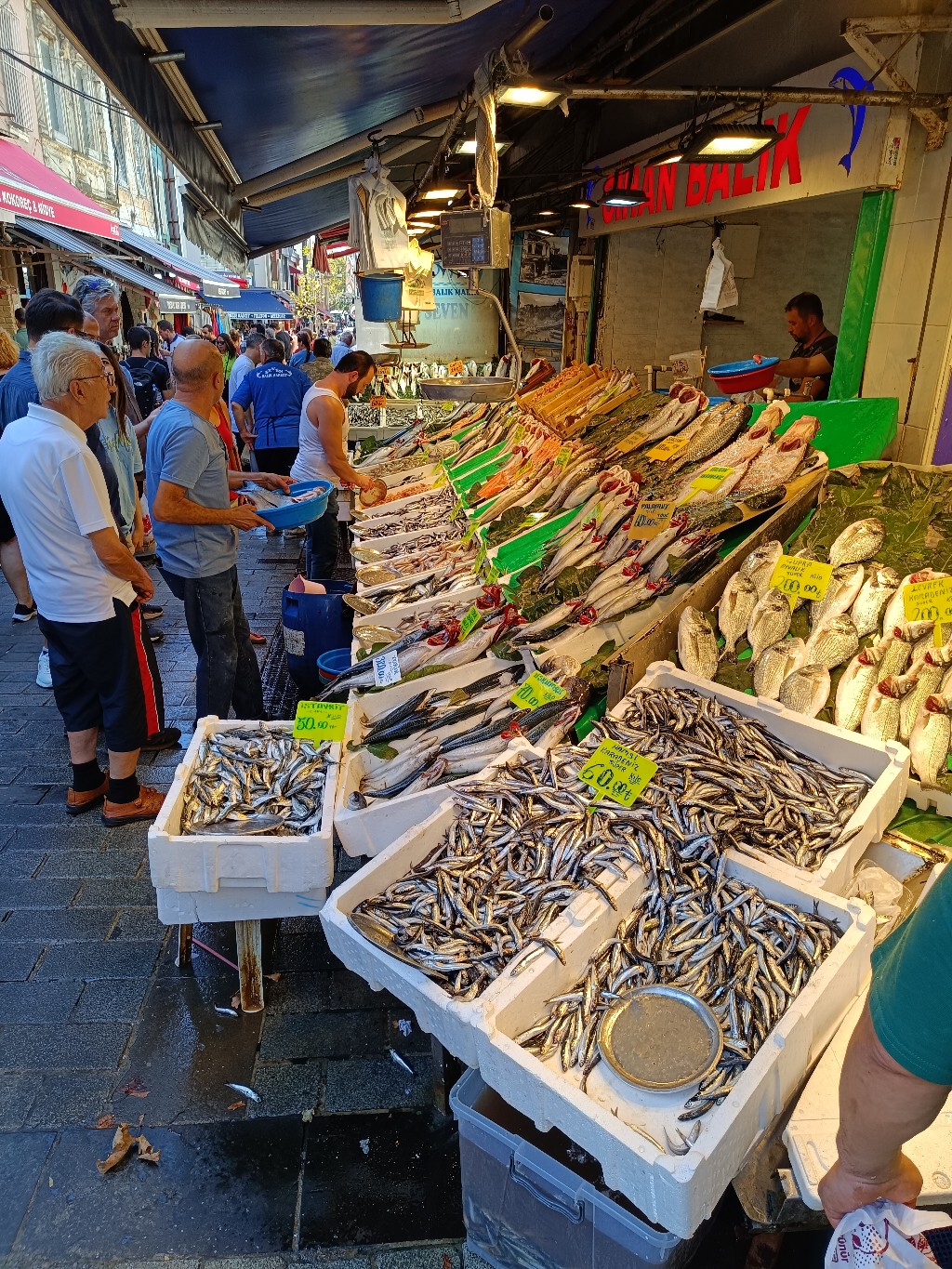 Kadıköy Tarihi Çarşı Balıkçılar Sokağı’nda balık çeşitleri dikkat çekici