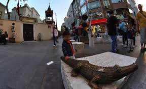 Kadıköy’de timsah’lar yaşadı mı ?
