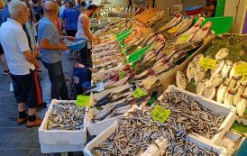 Kadıköy Tarihi Çarşı Balıkçılar Sokağı’nda balık çeşitleri dikkat çekici