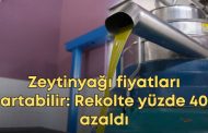 Zeytin’de Yok Yılı : Rekolte beklentisi yüzde 40’a yakın oranda düştü . Zeytinyağı fiyatlarında artış bekleniyor