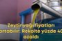 Zeytin’de Yok Yılı : Rekolte beklentisi yüzde 40’a yakın oranda düştü . Zeytinyağı fiyatlarında artış bekleniyor