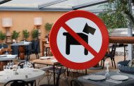 Restoran ve Kafelerde Evcil Hayvan Dönemi Sona mı Eriyor? Bakanlığın Yeni Yasa Taslağı Gündemde