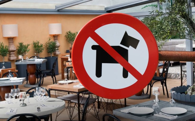 Restoran ve Kafelerde Evcil Hayvan Dönemi Sona mı Eriyor? Bakanlığın Yeni Yasa Taslağı Gündemde