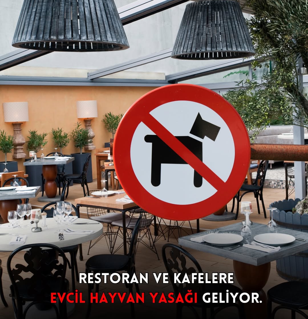 Restoran ve Kafelerde Evcil Hayvan Dönemi Sona mı Eriyor? Bakanlığın Yeni Yasa Taslağı Gündemde